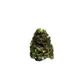 FLEURS DE CBD MINI BEUD