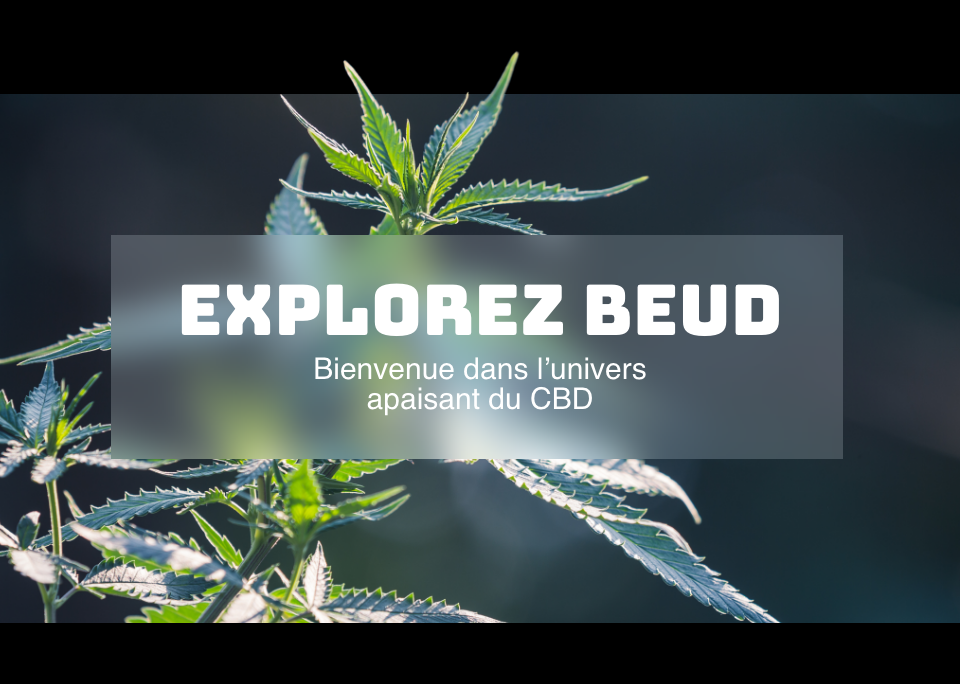 Bienvenue chez Beud - Boutique de CBD à Paris