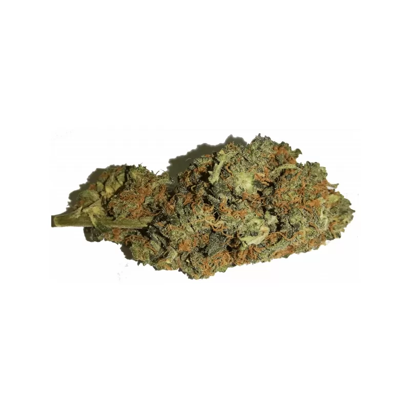 FLEURS DE CBD ORANGE BUD