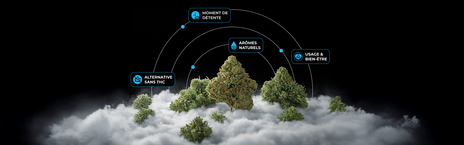Fleurs de CBD sans THC avec arômes naturels, utilisées pour le bien-être et la détente sur fond nuageux
